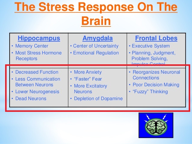 stress4