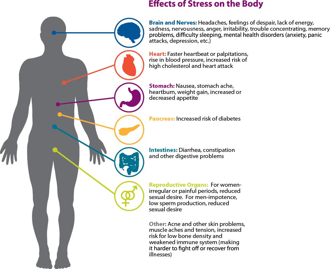 stress6