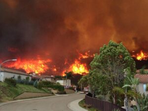 structural firefighters in the WUI firefighting environment 