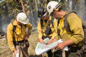 US forest service Members in wildfire fighting environment