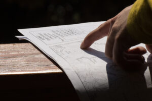 training recommendations