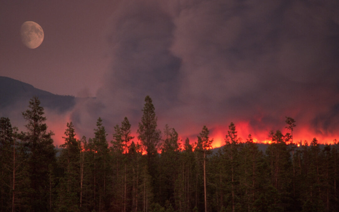 Structural Firefighters Need Special Knowledge & Skills in WUI Firefighting