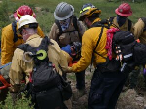 wildland firefighting training 
