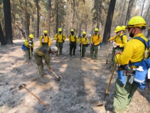 wildland firefighting training 